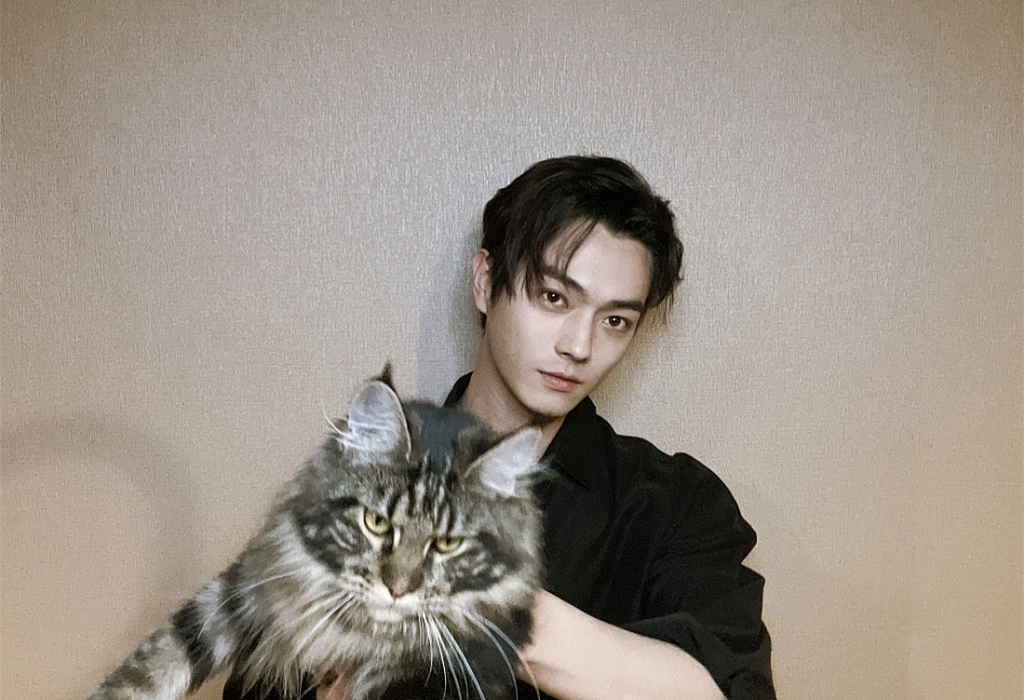 许凯撸猫营业晒多视角自拍超迷人大眼清澈