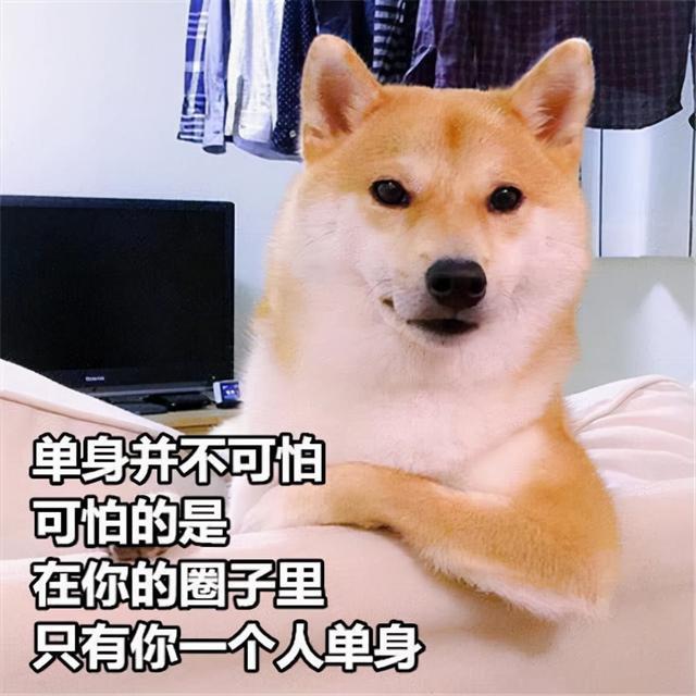 狗狗突然抱住铲屎官的大腿，原来是有话想说，别想歪了 