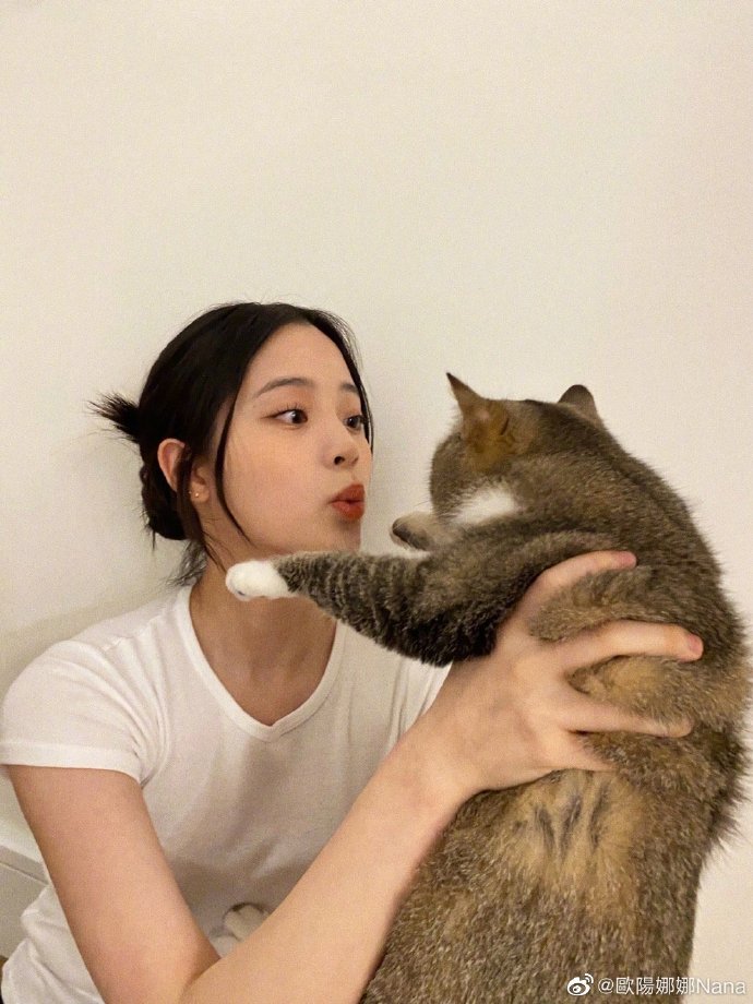 欧阳娜娜晒与猫咪合拍九宫格 穿白t清爽干净 