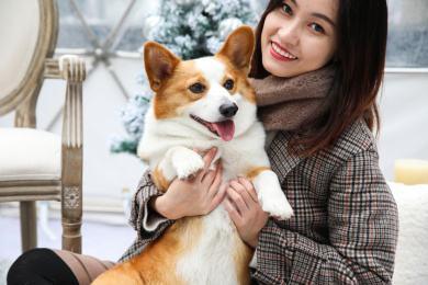  真正被你“养熟”的狗狗，会有这些现象