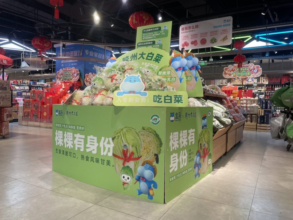 胶州大白菜“瘦身”南下,盒马2.5公斤一颗适合南方饭桌