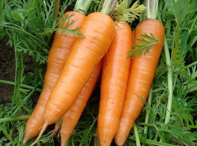 糖尿病患者可以安全食用的7种蔬菜 