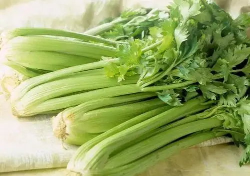  减肥期间，多吃这即种刮脂食物，让体重速度下跌！