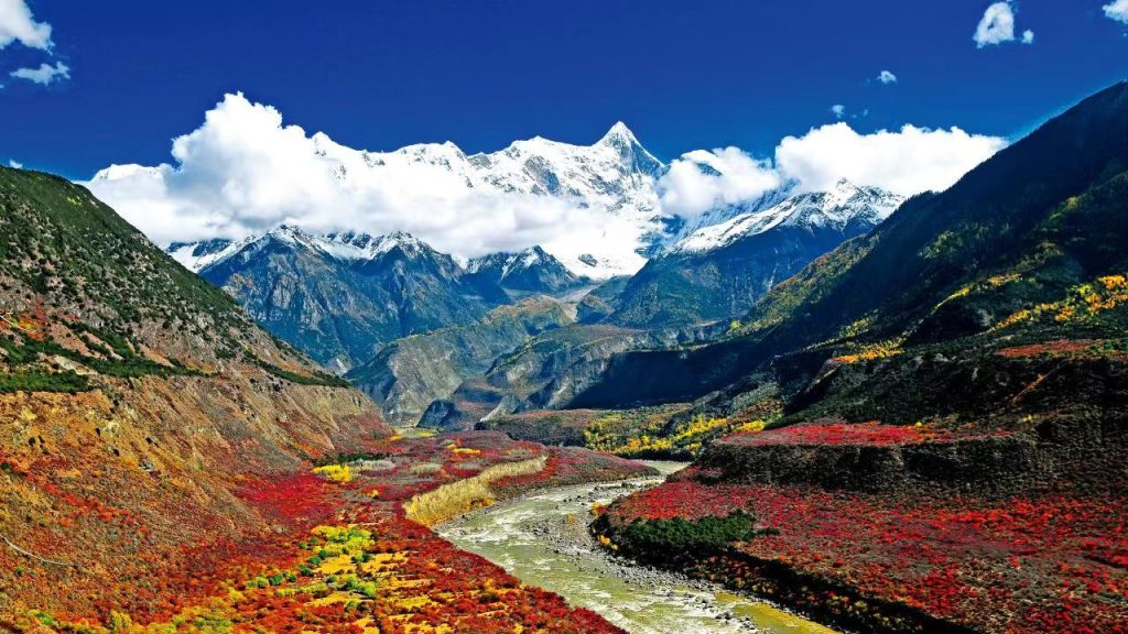 G219国际自驾游目的地高峰论坛在北海举办 
