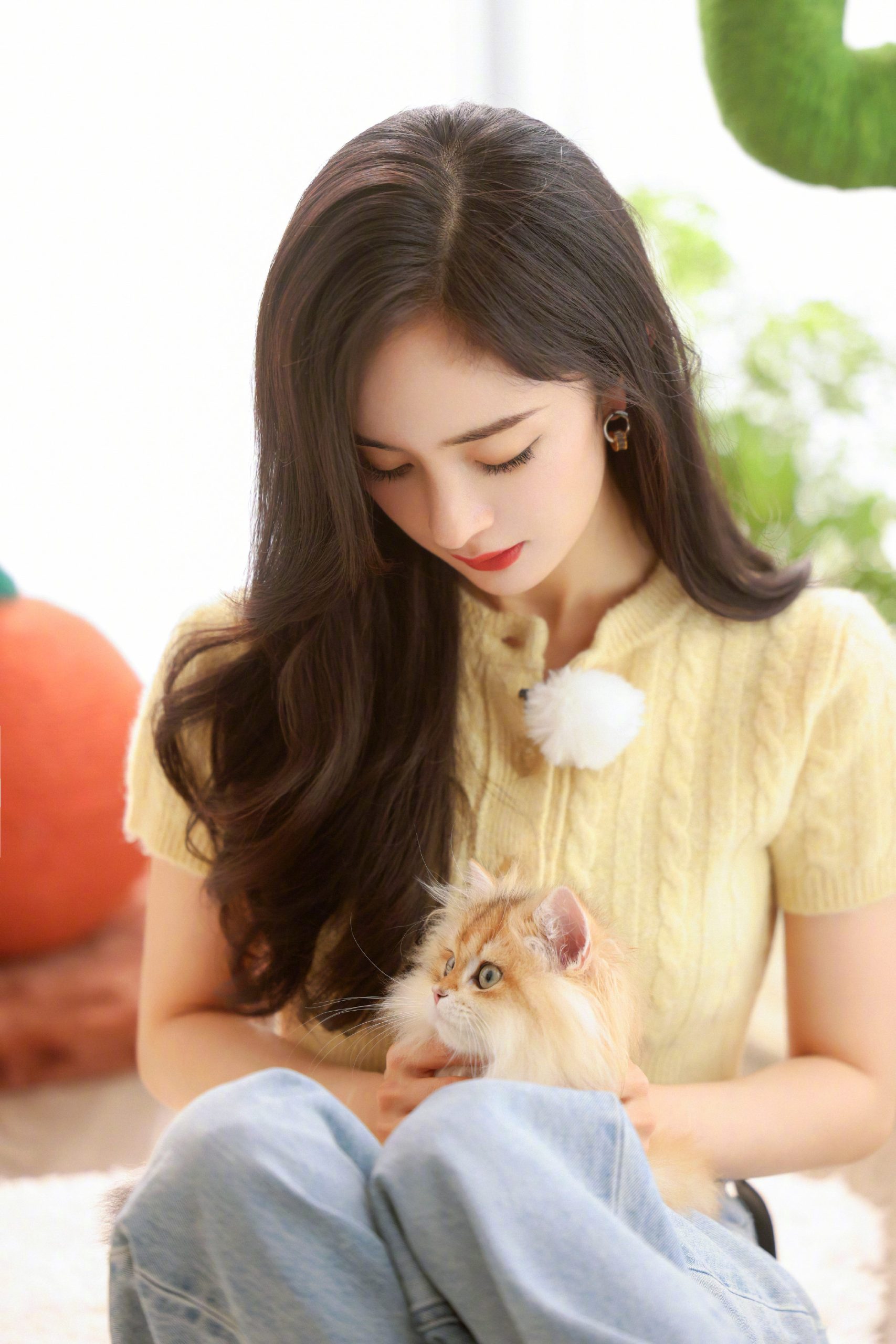 杨幂新年美照曝光 穿针织衣抱猫咪超温柔 