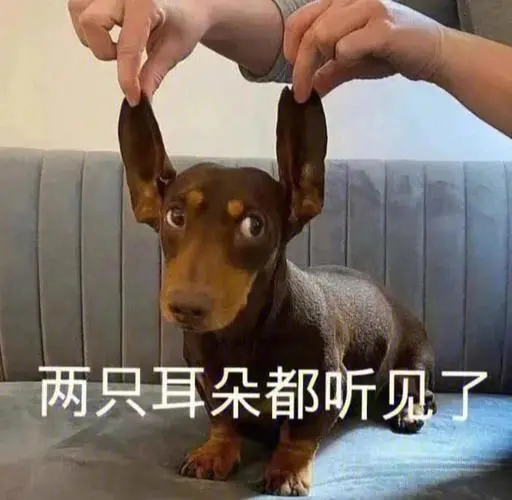 不知道这些，我劝你放弃养狗这个念头！