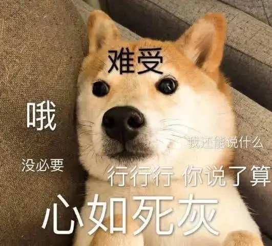 狗狗这些反常的举动，其实是“吃醋了”，别误会