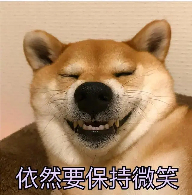 狗狗乱咬东西用什么方法去解决？