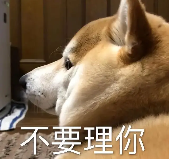 狗狗出现这6种现象，多半是“讨厌”主人了