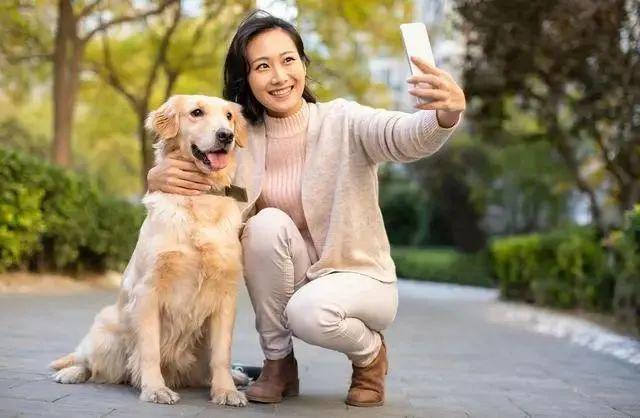 狗狗被半途换主人，心里是心痛还是高兴？