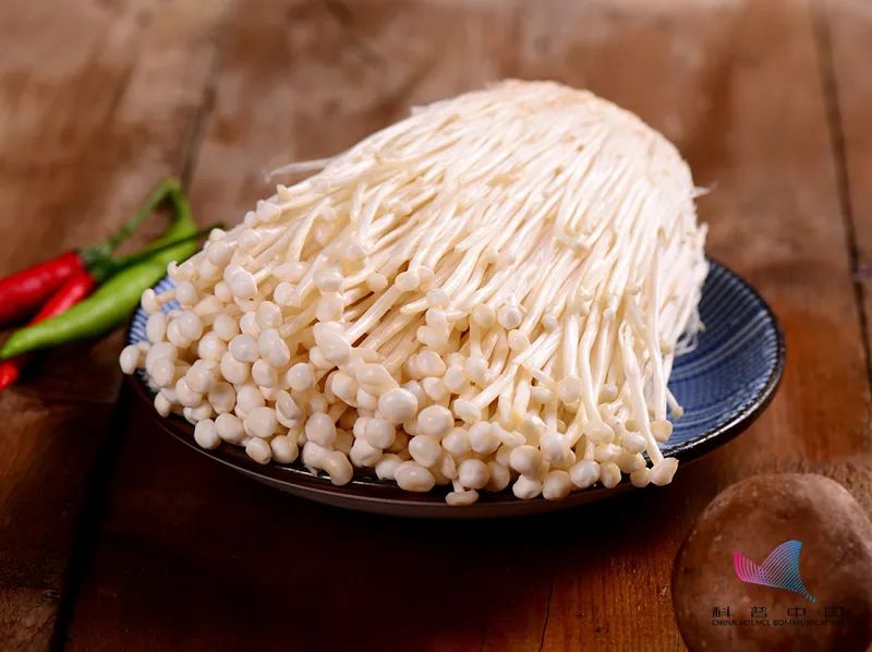 金针菇为什么叫"明天见"？吃了等于白吃？原来一直误会它了