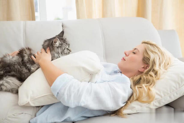 猫咪为什么一直叫唤？猫咪一直叫唤的原因有哪些？