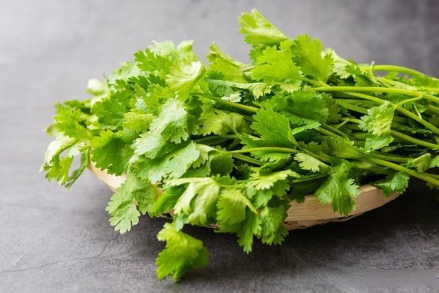 香菜怎么保存？居家保存蔬菜的5种方法