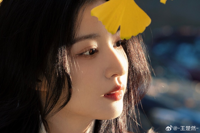 王楚然气质温婉 手拿银杏叶美丽迷人