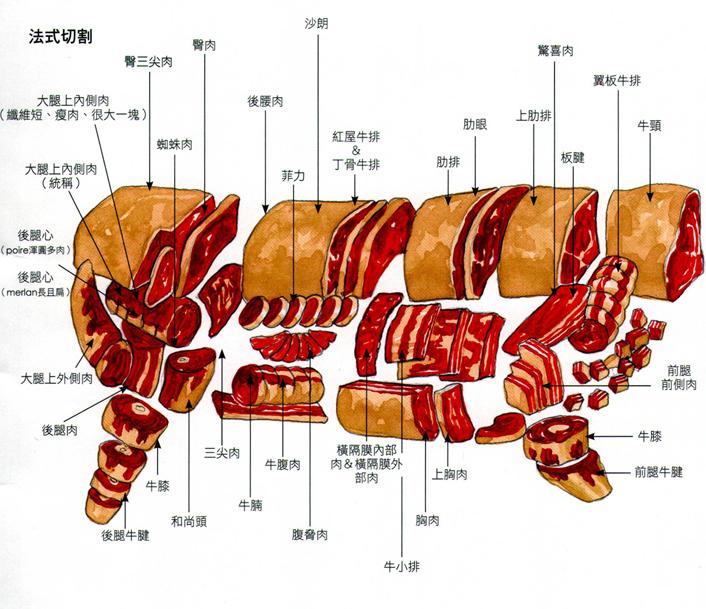 一文详解不同部位牛肉食材特性，对“菜”下“肉”才算高手！