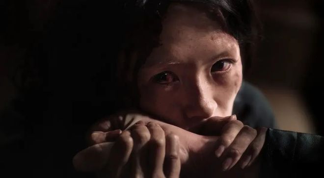 《酱园弄》，为什么口碑溃败？