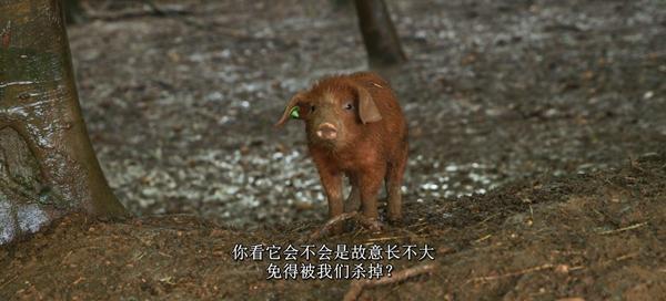 《克拉克森的农场4》：乡村“只是你开车经过的地方”？