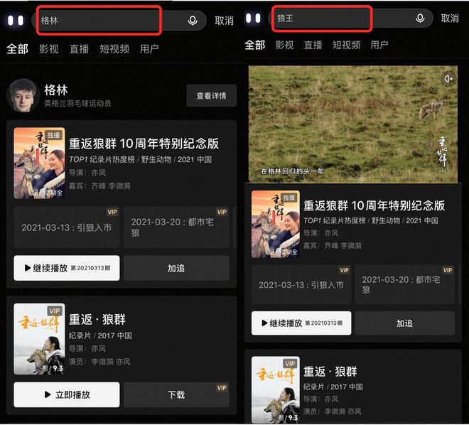 《重返狼群》火了，揭秘优酷独家上线12集完整版纪录片的背后
