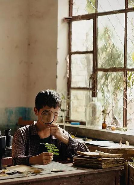 《植物学家》：以光影为标本，封存旷野里的成长与孤独