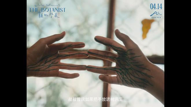 《植物学家》：以光影为标本，封存旷野里的成长与孤独