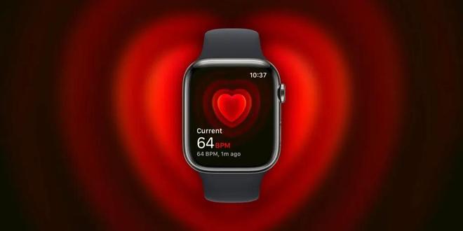 古尔曼：Apple Watch Series 12/Ultra 4将支持全天候心率监测